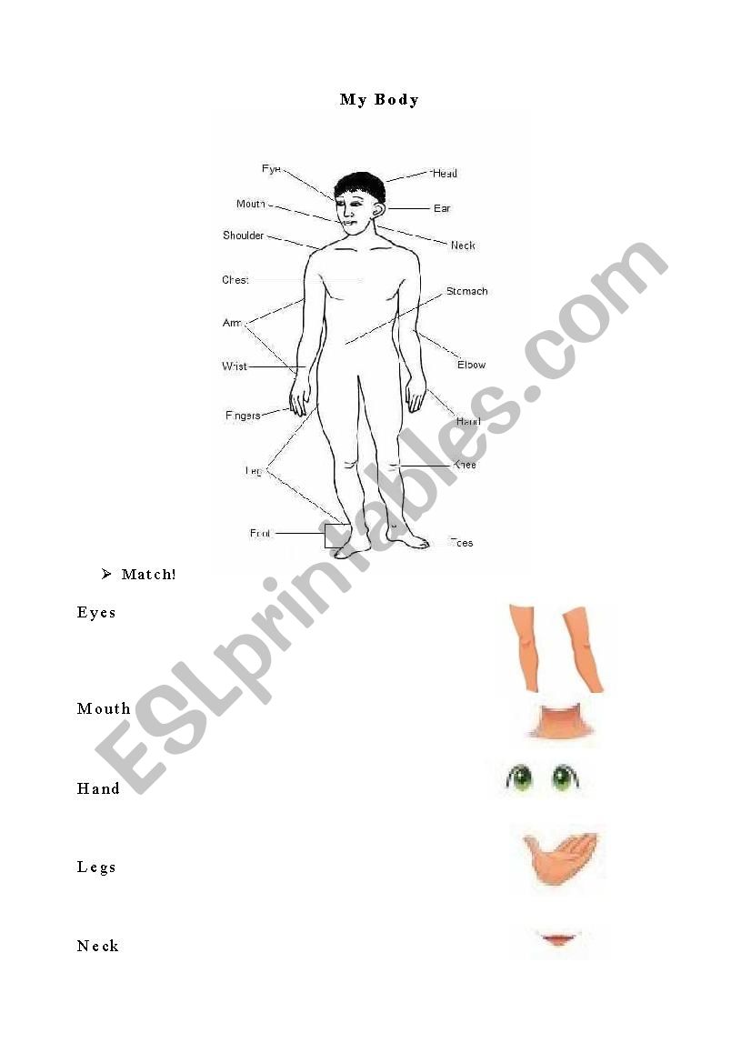 My Body worksheet