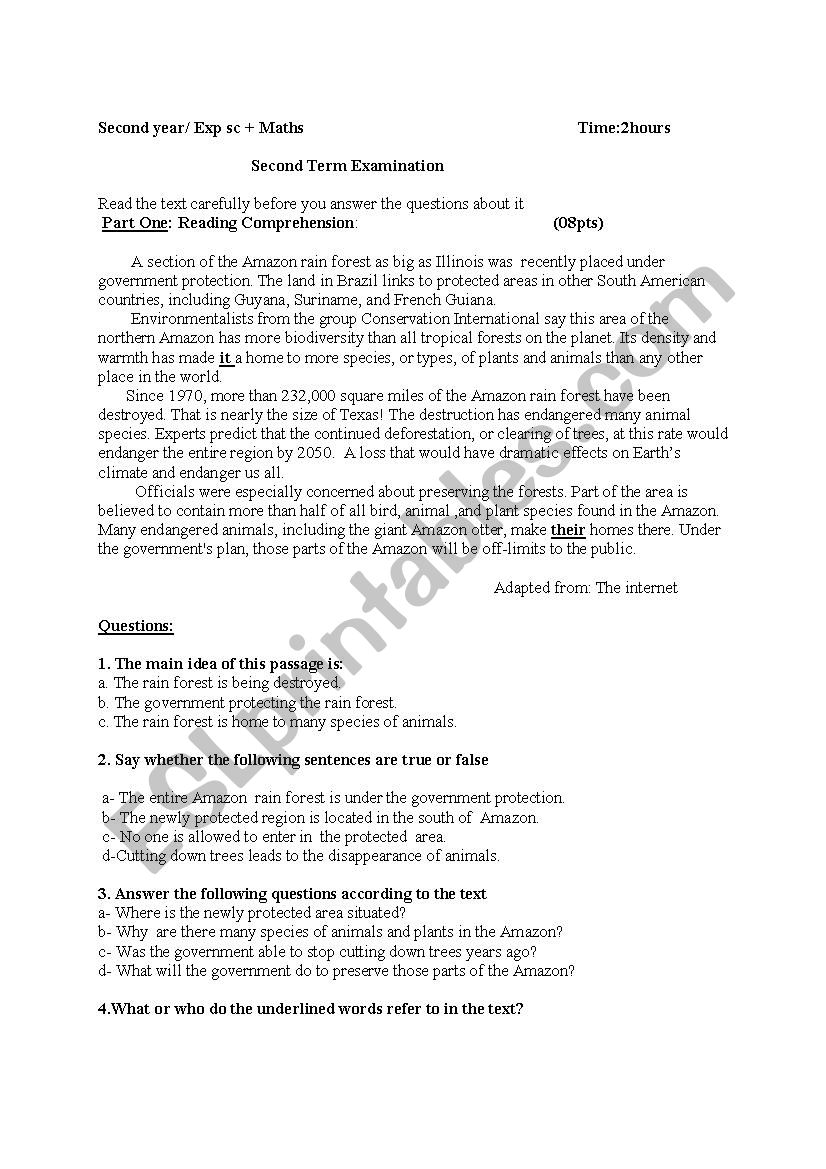 Amazon  worksheet