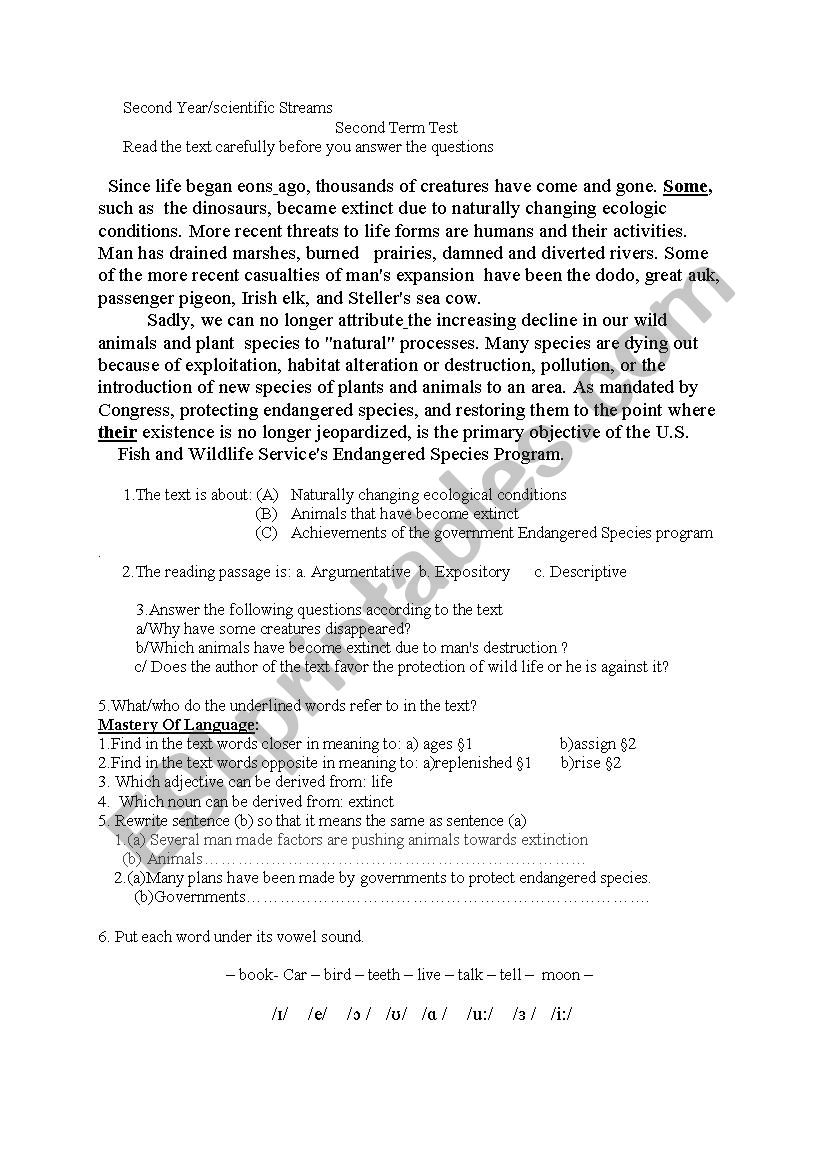 Text no worksheet