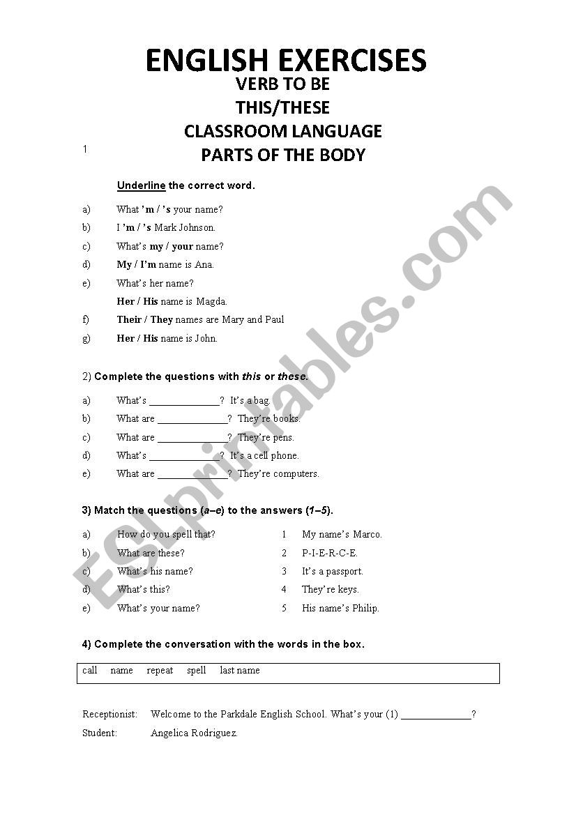 Basic Exercises worksheet