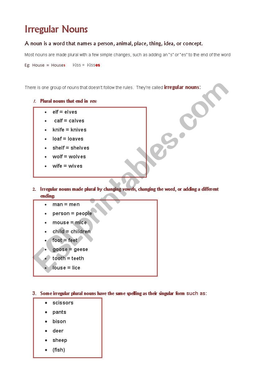 Irregular nouns worksheet