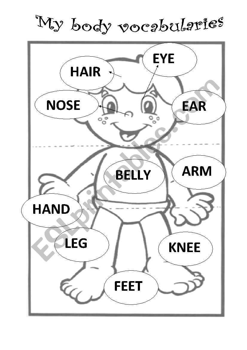 body activity worksheet