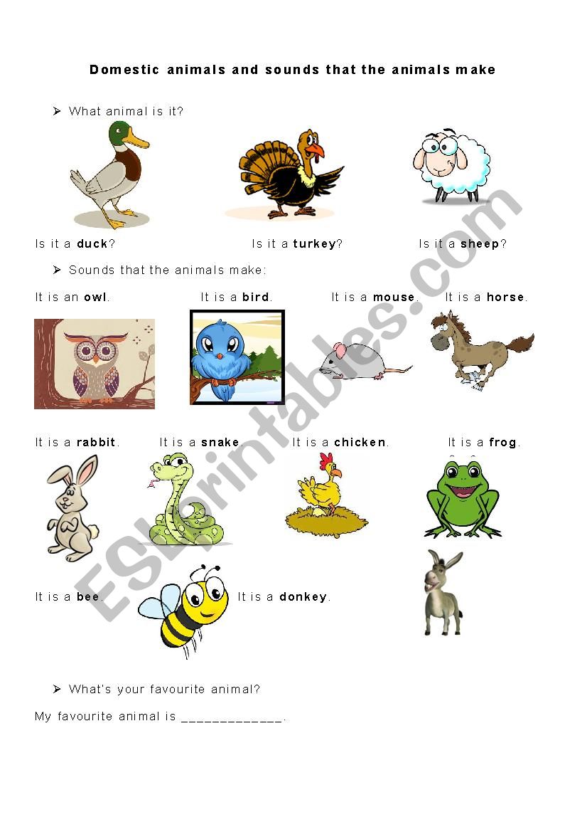 Domestic animals worksheet