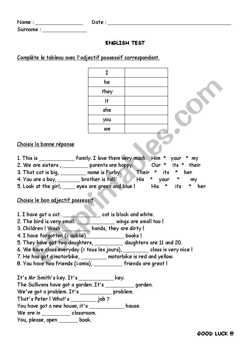Possessive adjectives test worksheet