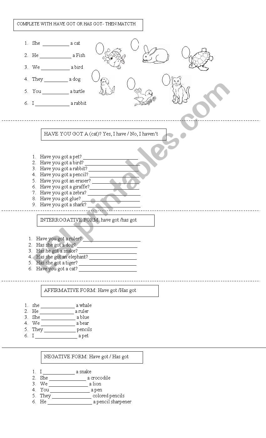 HAVE GOT /HAS GOT worksheet
