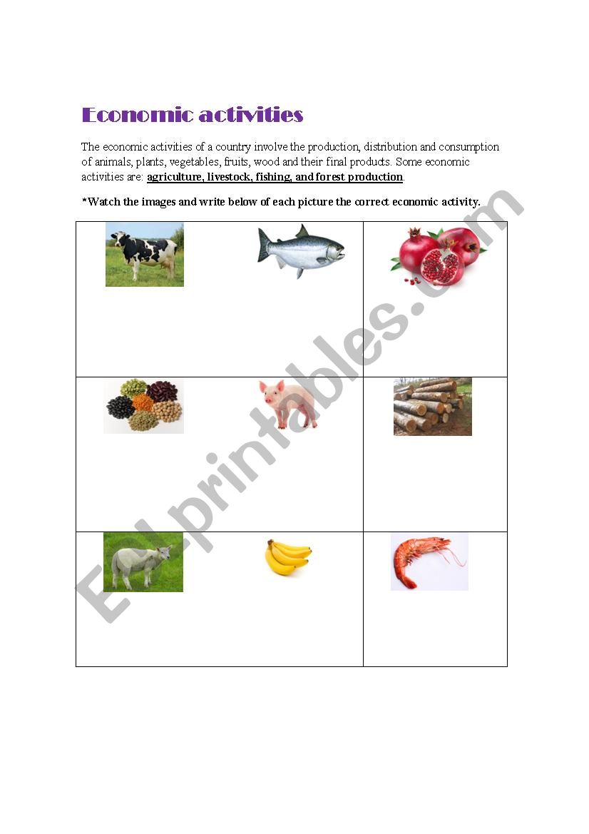 Economic Activities worksheet