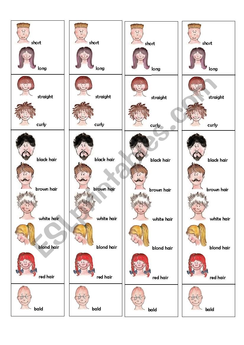 HAIR DESCRIPTIONS worksheet