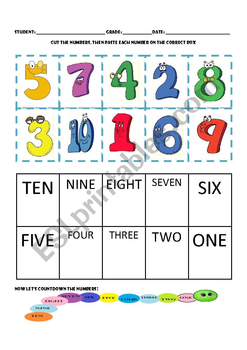 NUMBERS  worksheet