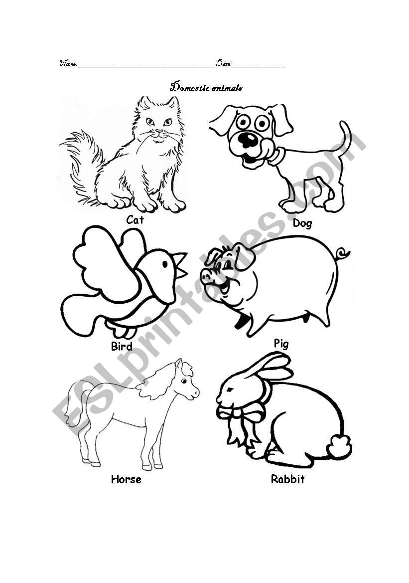 domestic animals worksheet