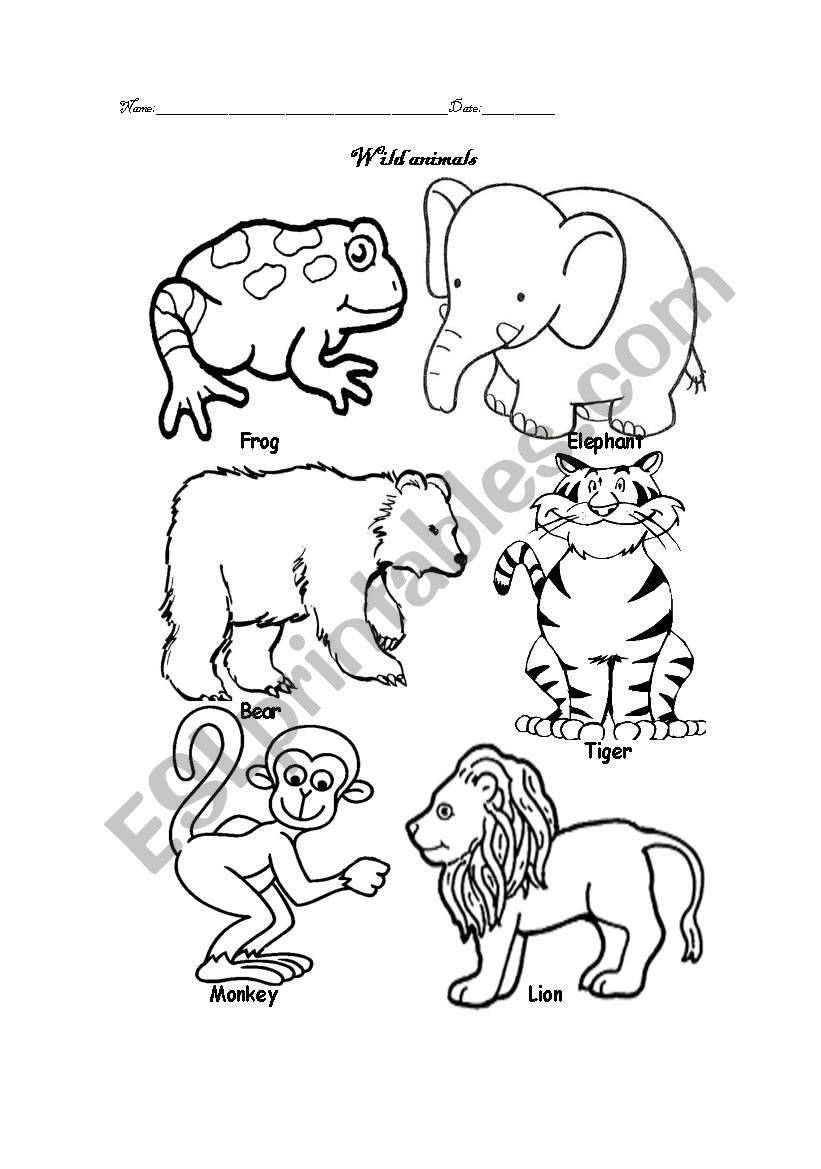 wild animals worksheet