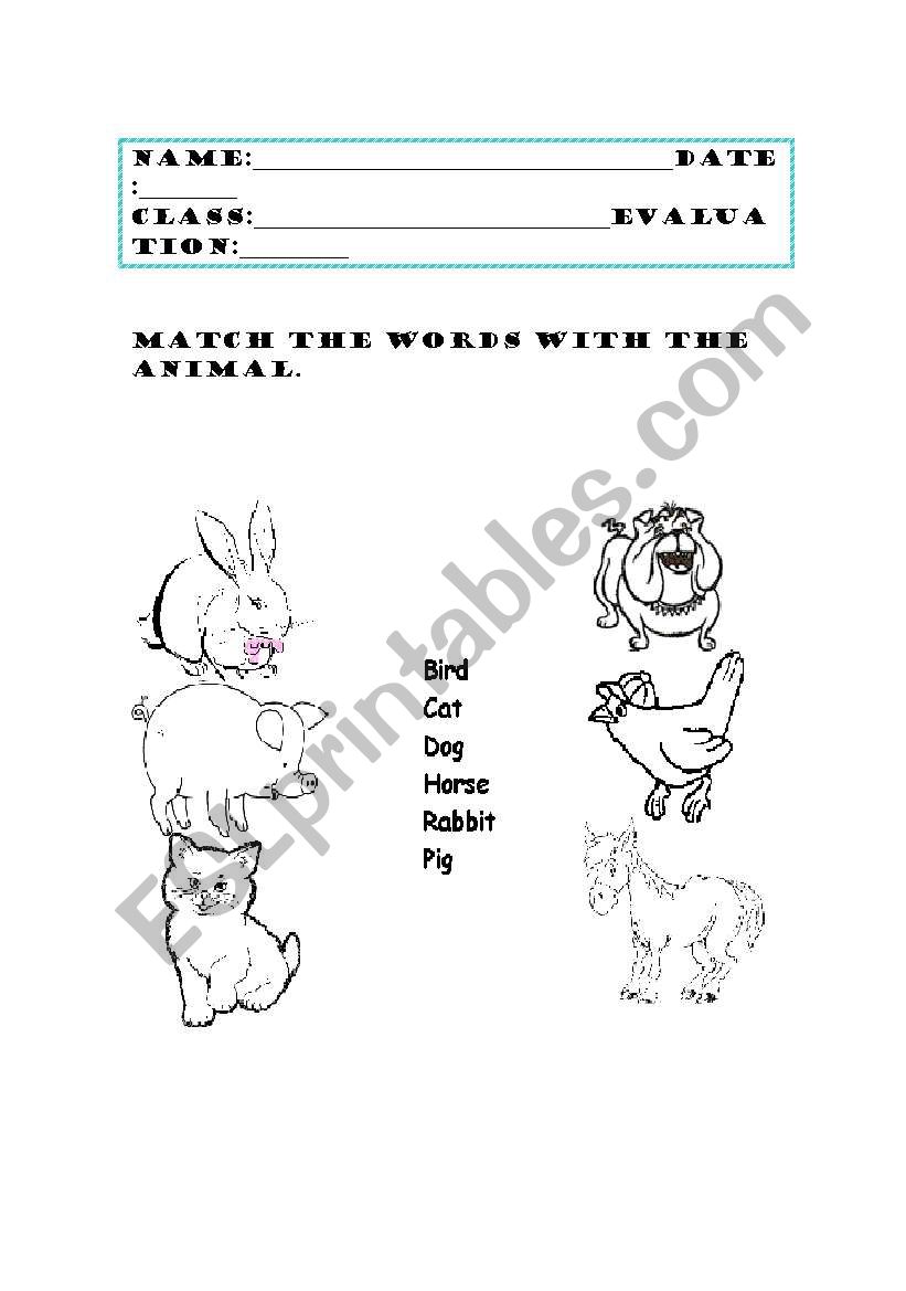 domestic animals worksheet