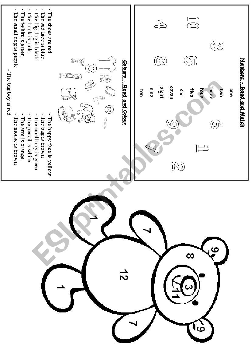 Colours + Numbers worksheet