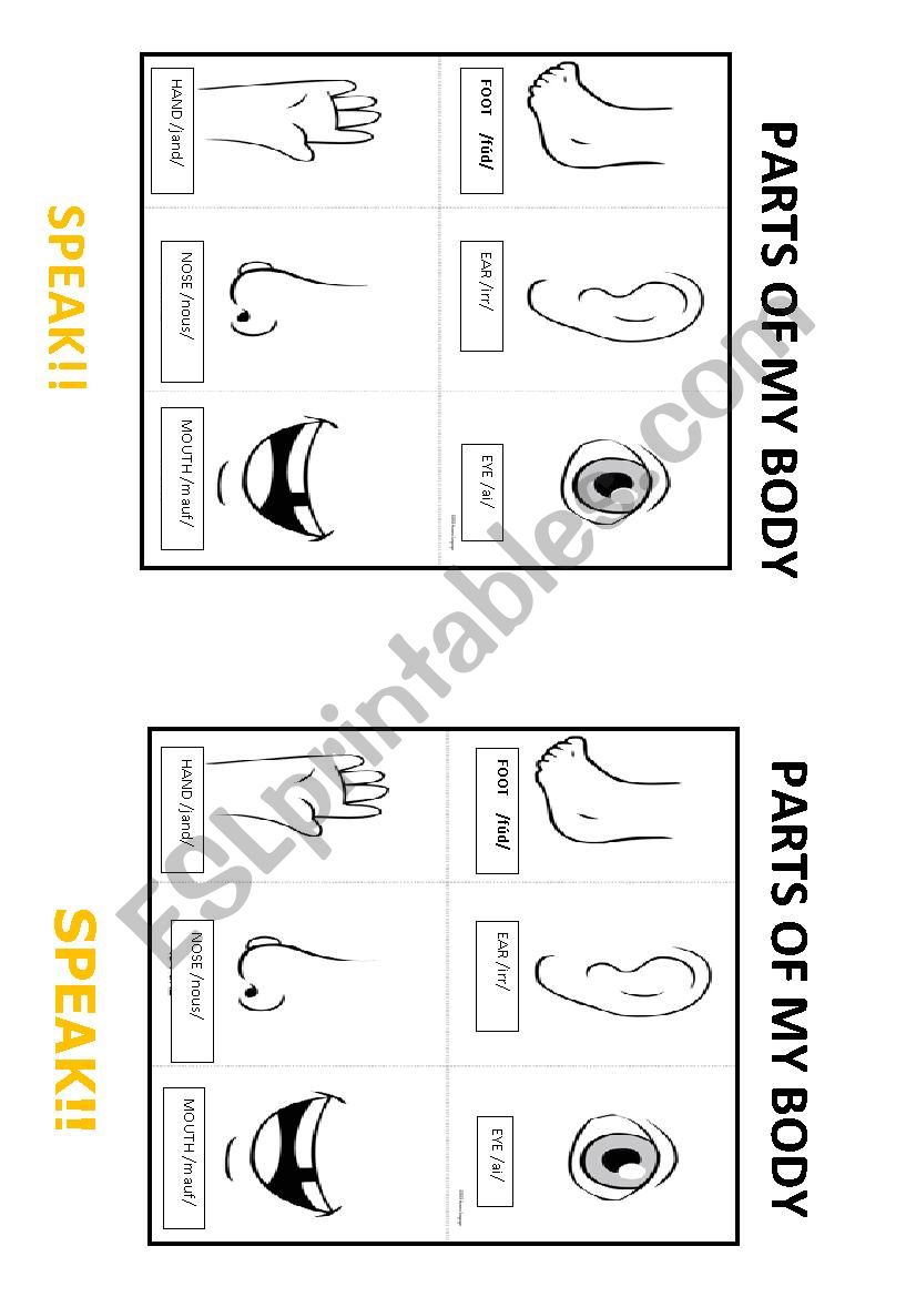 BODYT worksheet