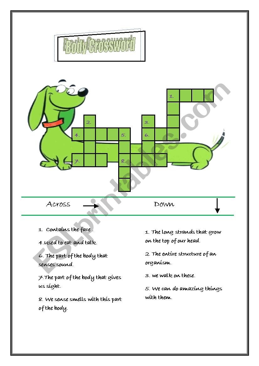 a body crossword worksheet