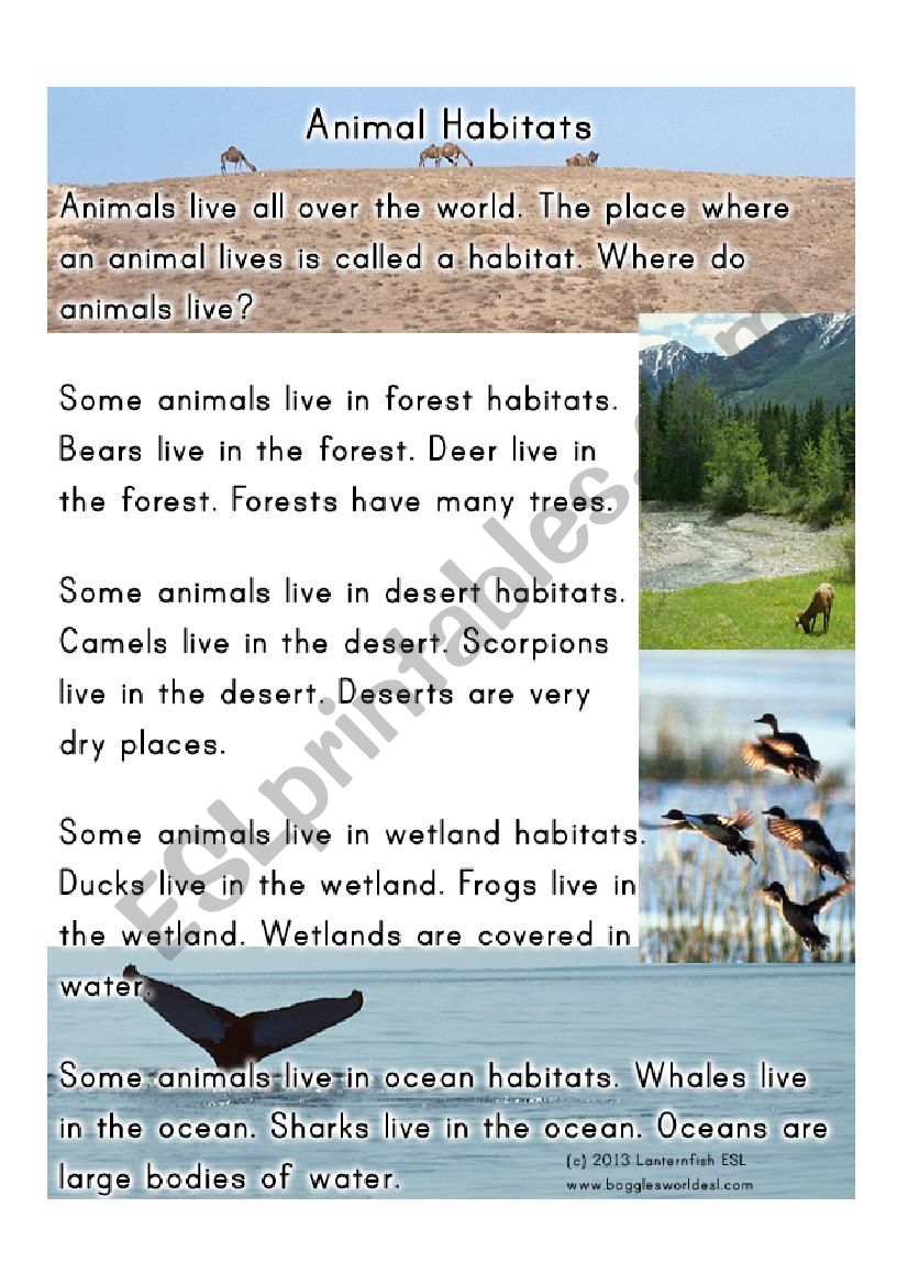 animal habitat worksheet