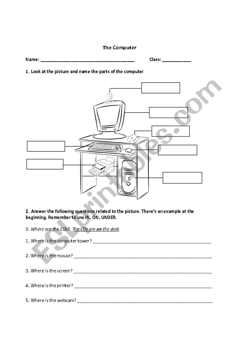 The Computer  worksheet