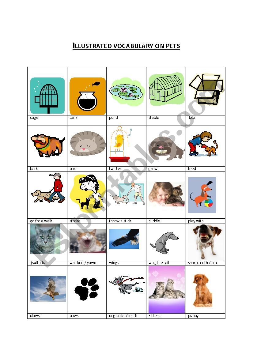 illustrated vocabulary on pets