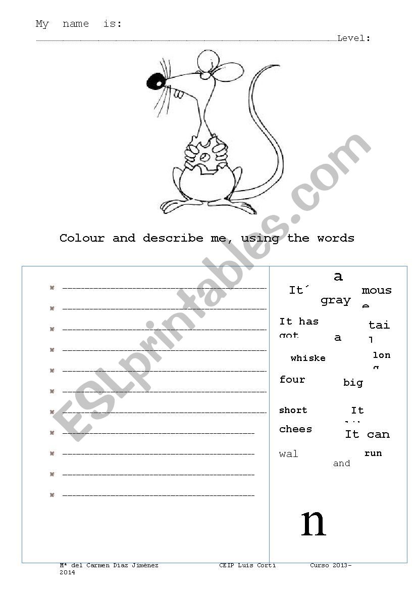 Describe the mouse worksheet
