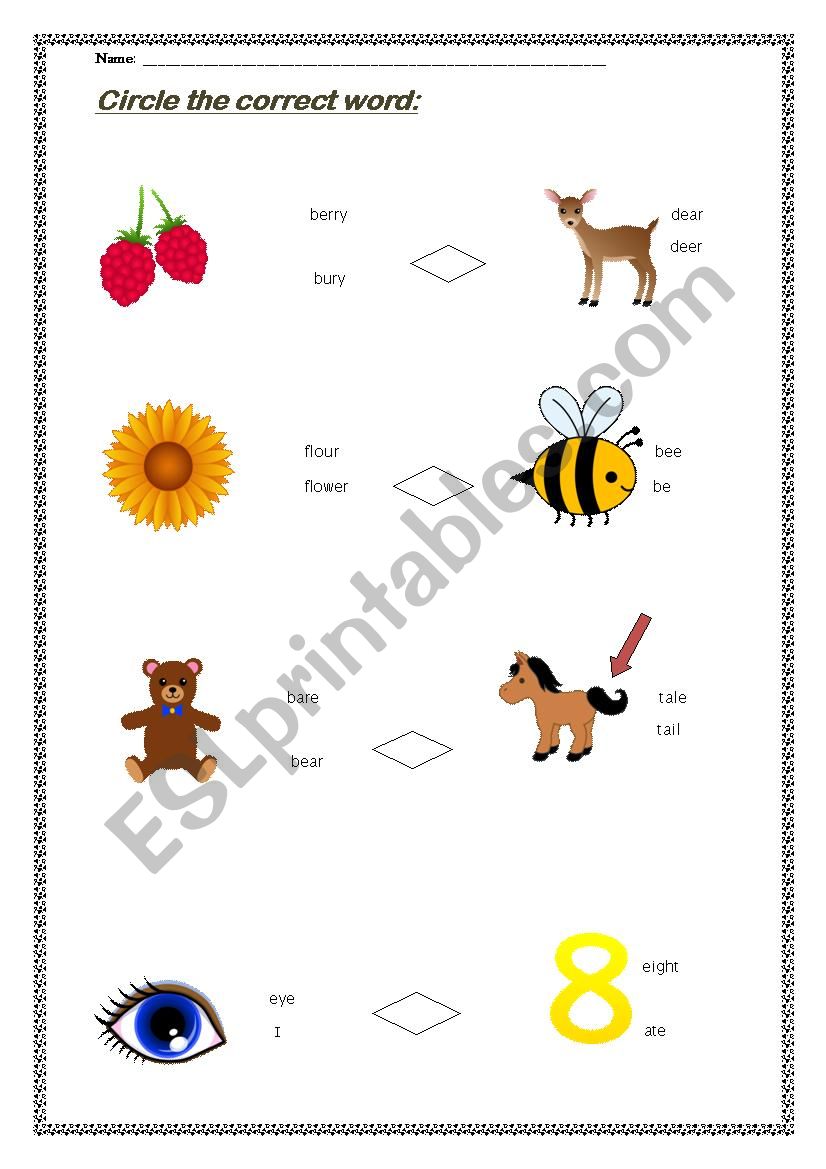 Homophones worksheet