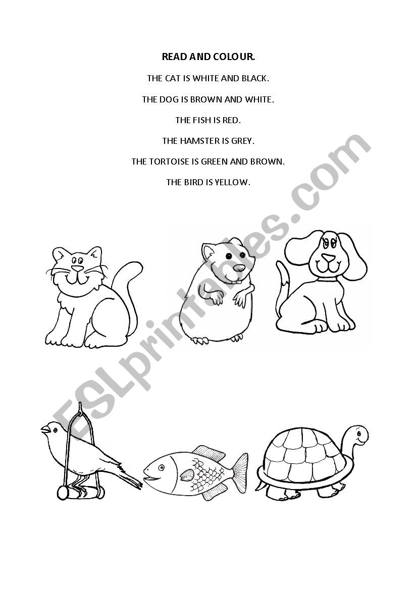 PETS - READ AND COLOUR worksheet