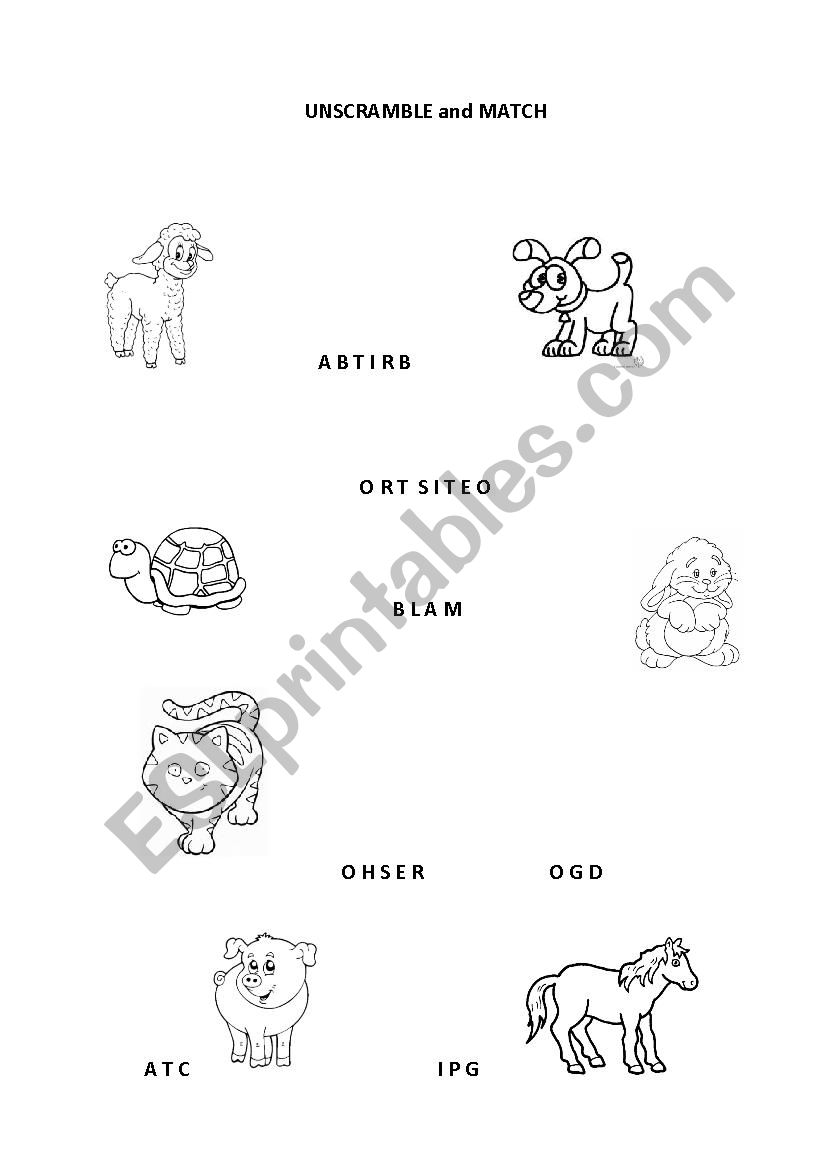 UNSCRAMBLE AND MATCH - PETS worksheet