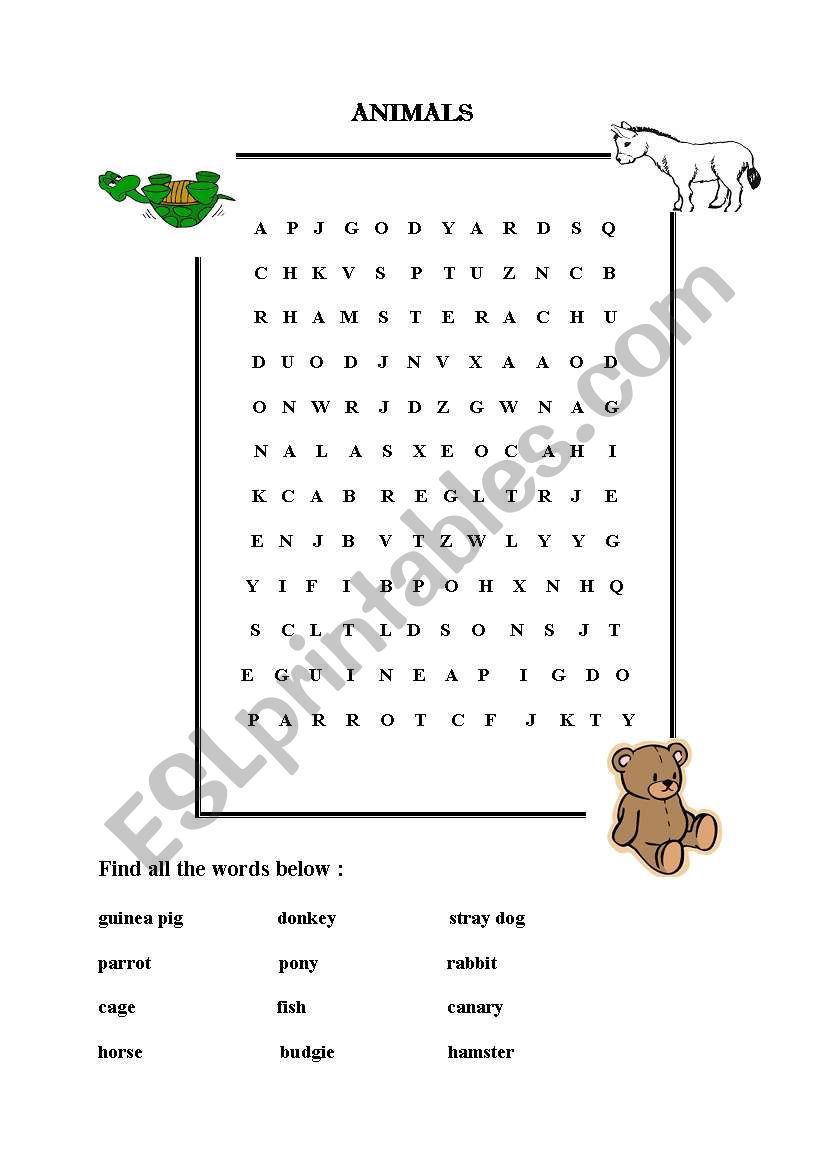 animals worksheet