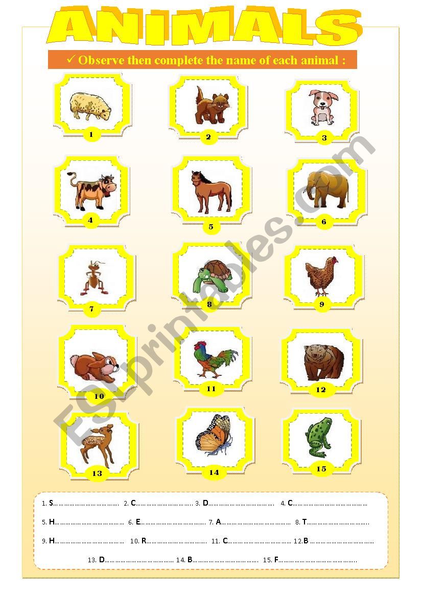 animals worksheet