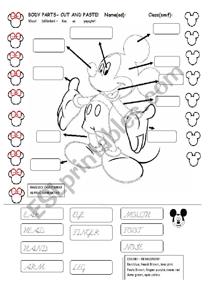 body parts with coloring theme esl worksheet by alptug bayraktar