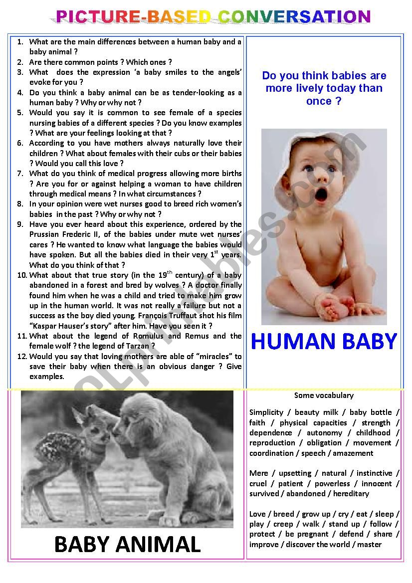 Picture-based conversation : topic 36 - human baby vs baby animal