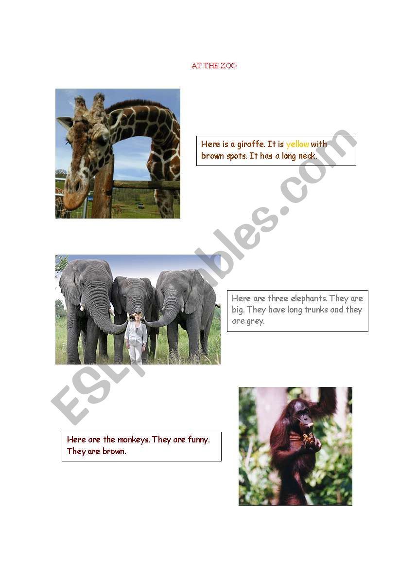 At the zoo Part 1 worksheet