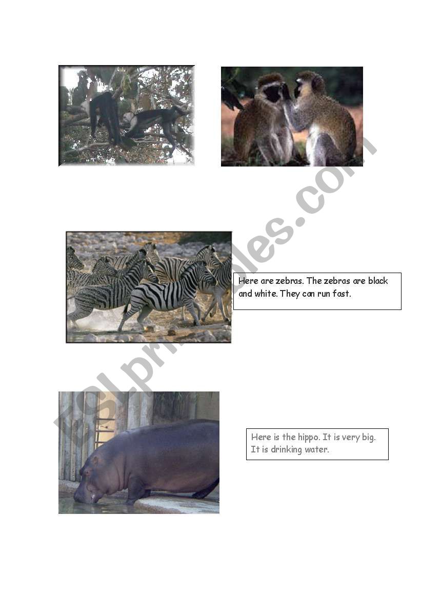 At the zoo Part 3 worksheet