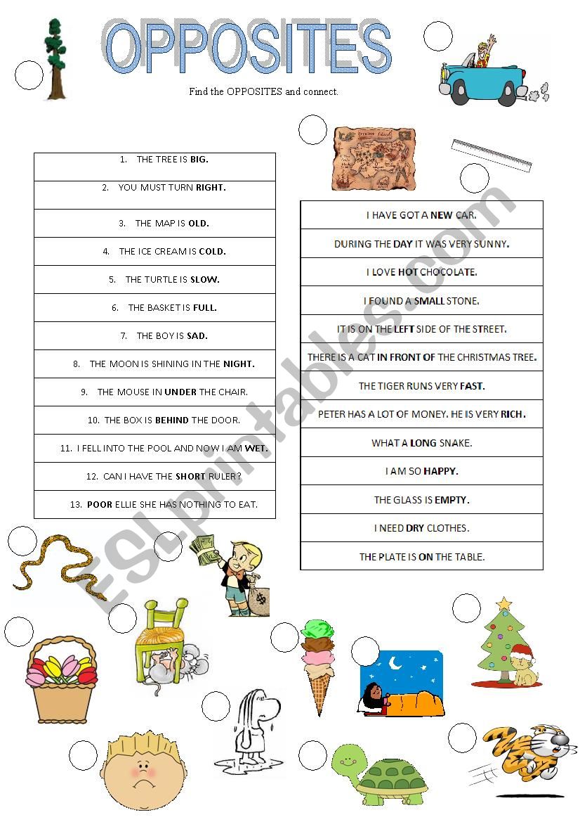 Find the opposites worksheet