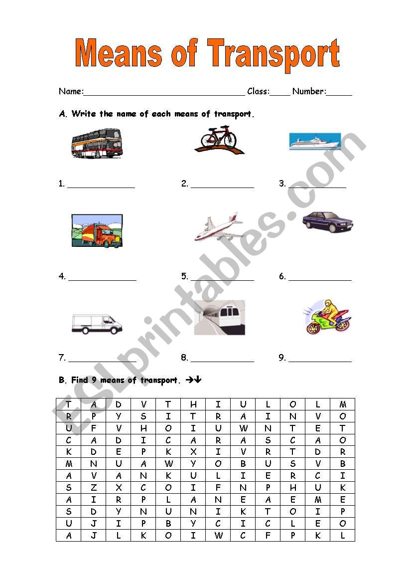 Means of transport worksheet