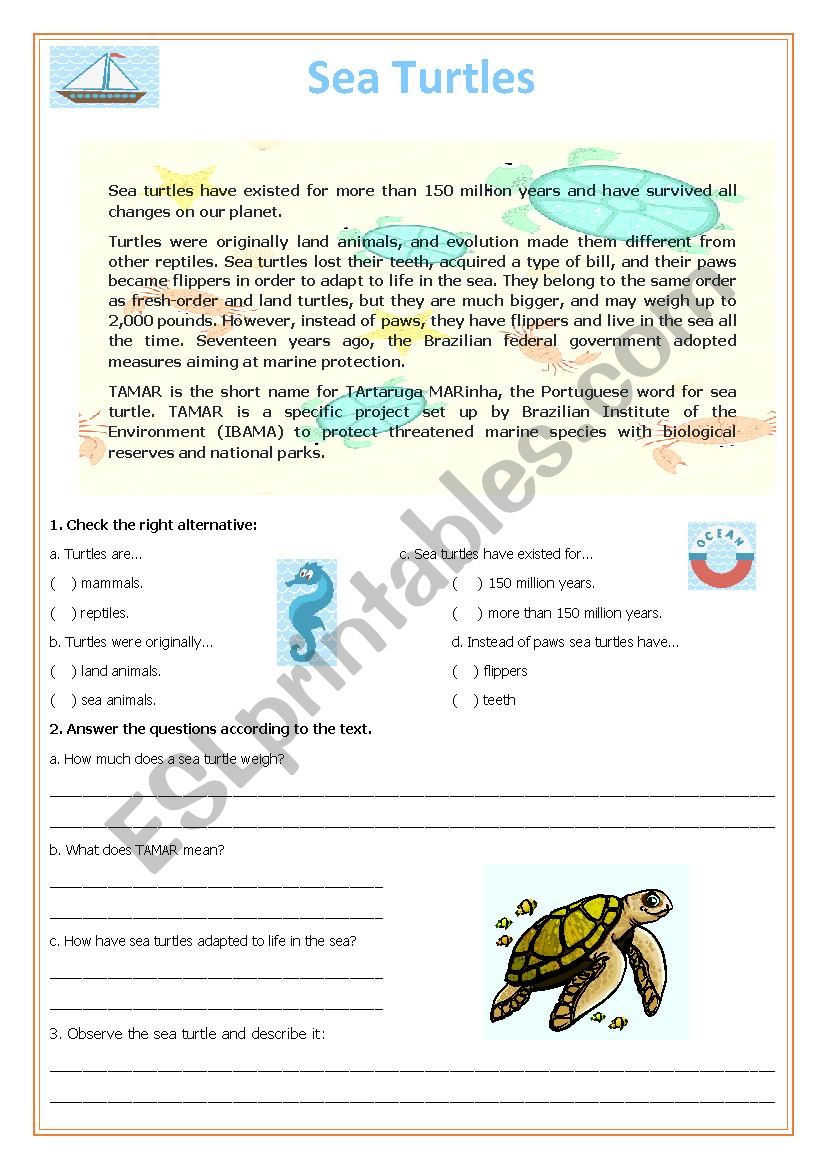 Sea Turtles worksheet