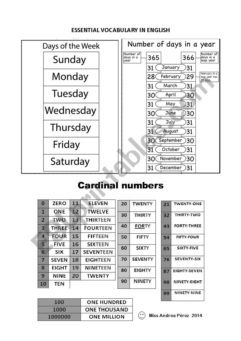 Essential vocabulary worksheet