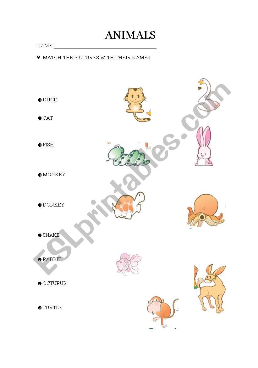 ANIMALS worksheet