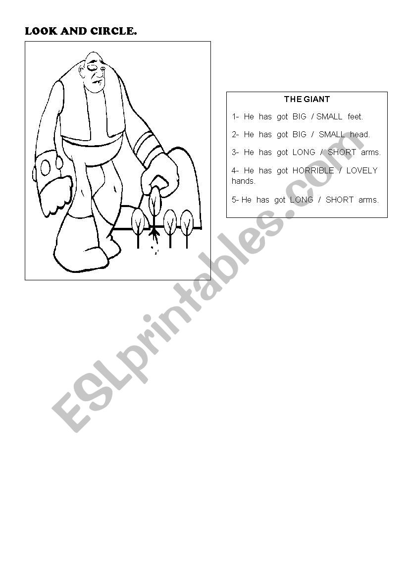 Look and choose - the giant worksheet