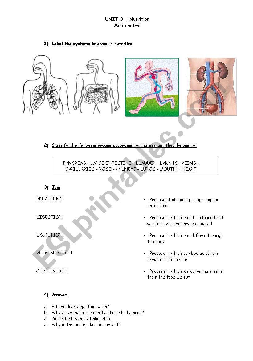 Nutrition test worksheet