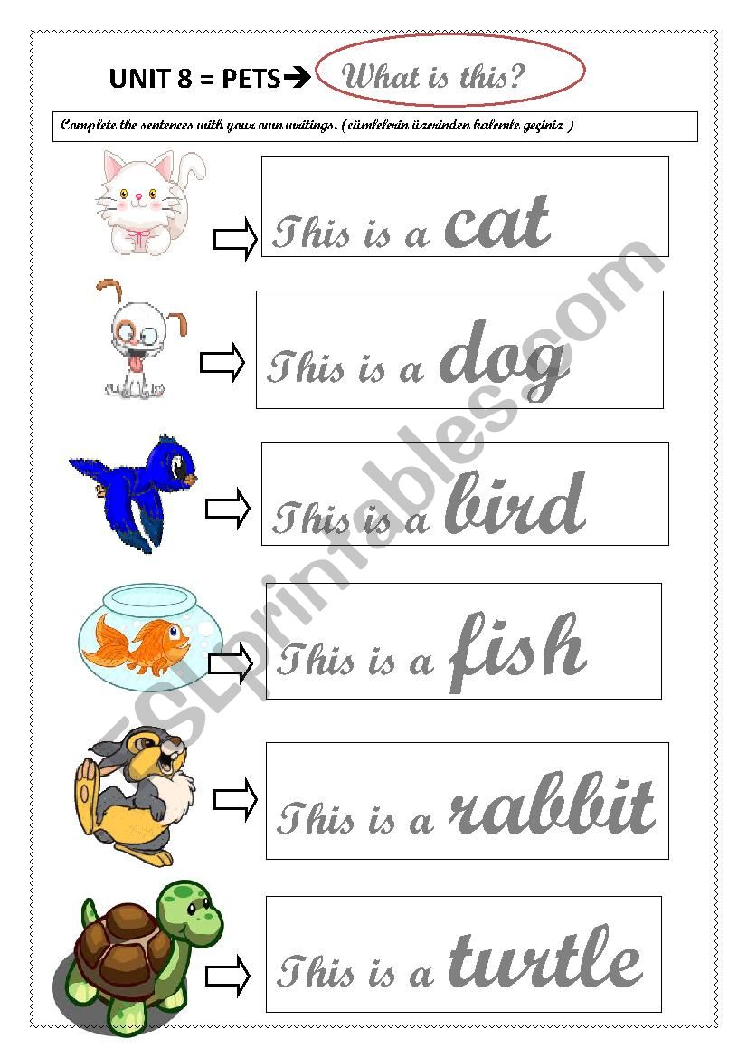 pets worksheet