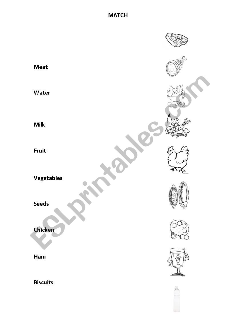 Food for animals worksheet