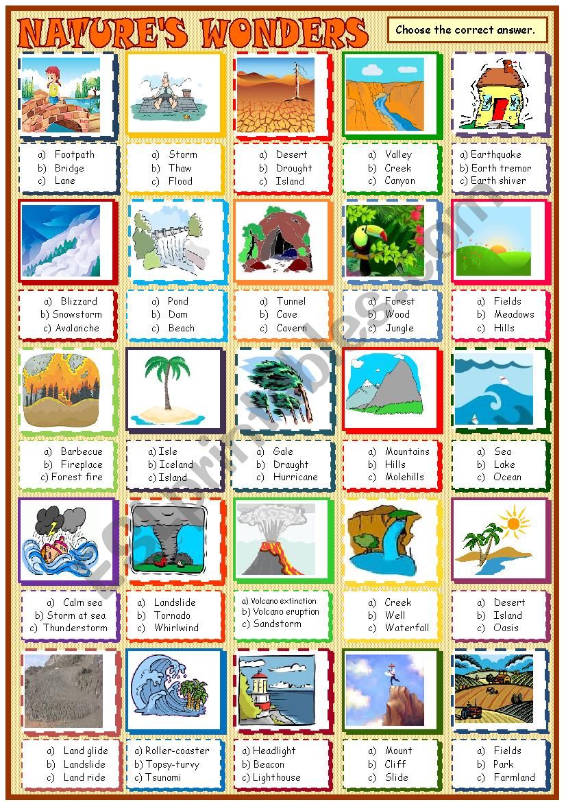 Natures wonders: multiple choice activity 