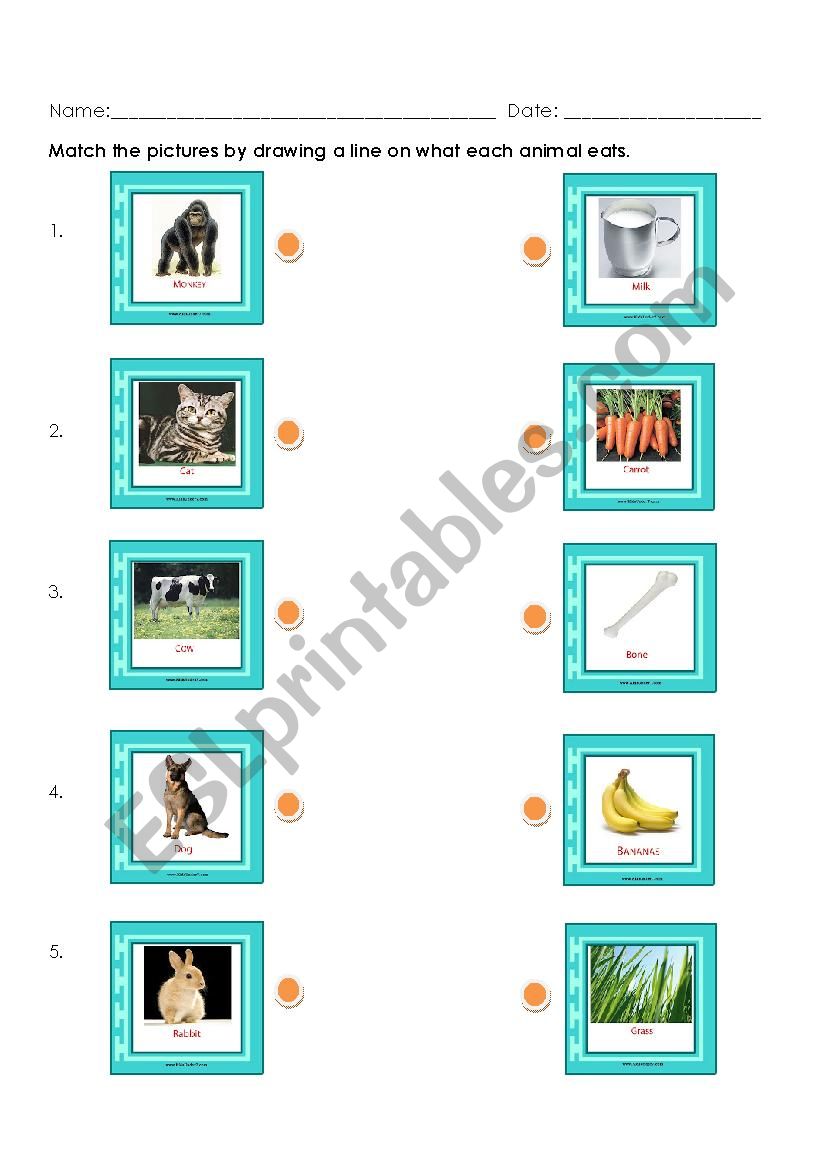 What animals eat worksheet