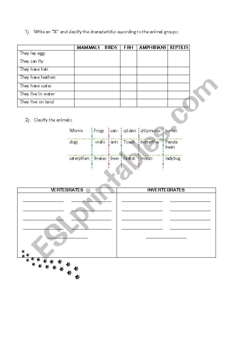 Animal Groups worksheet