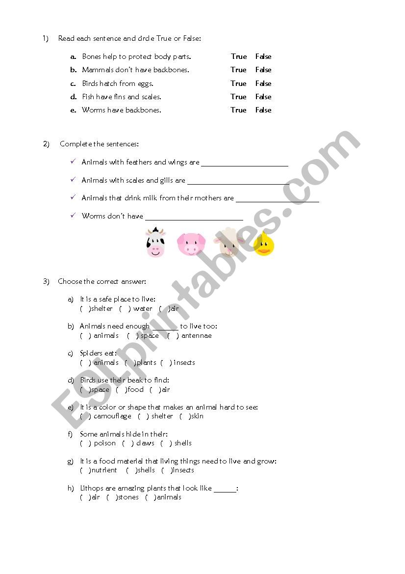 Animal Groups & characteristics 