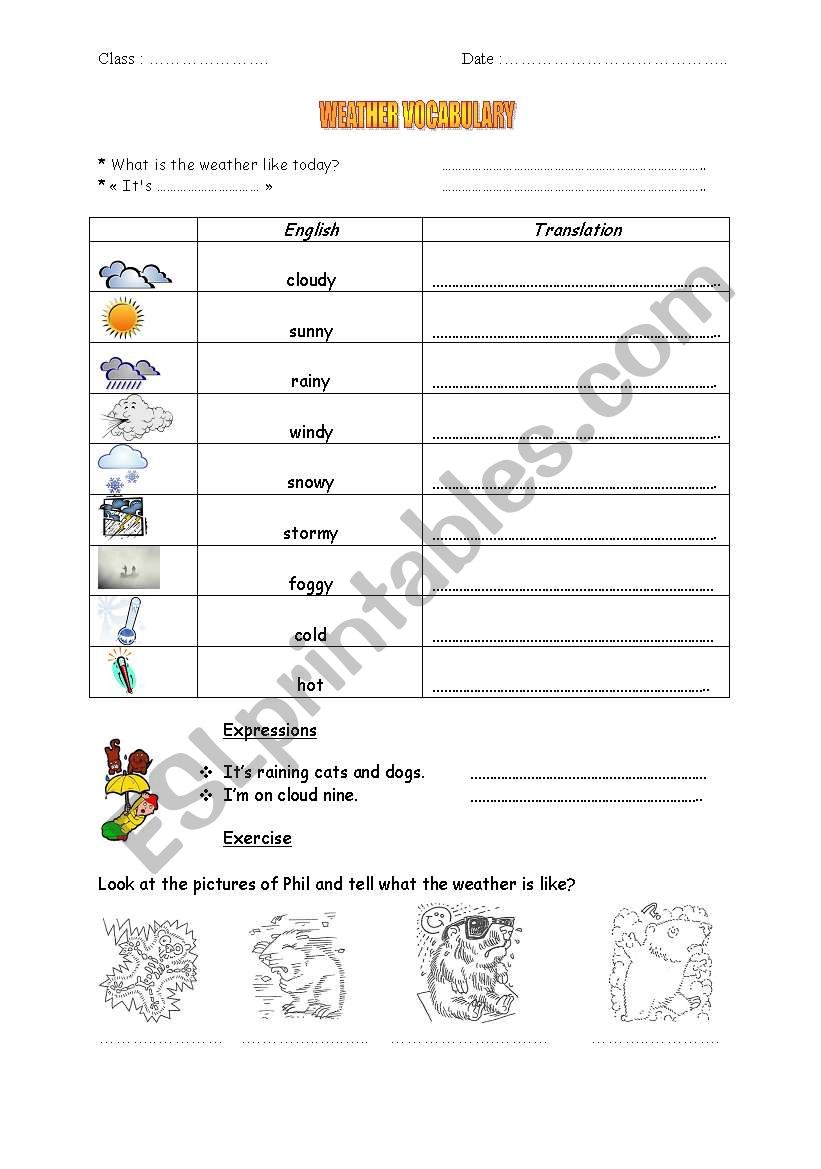 Weather Vocabulary worksheet