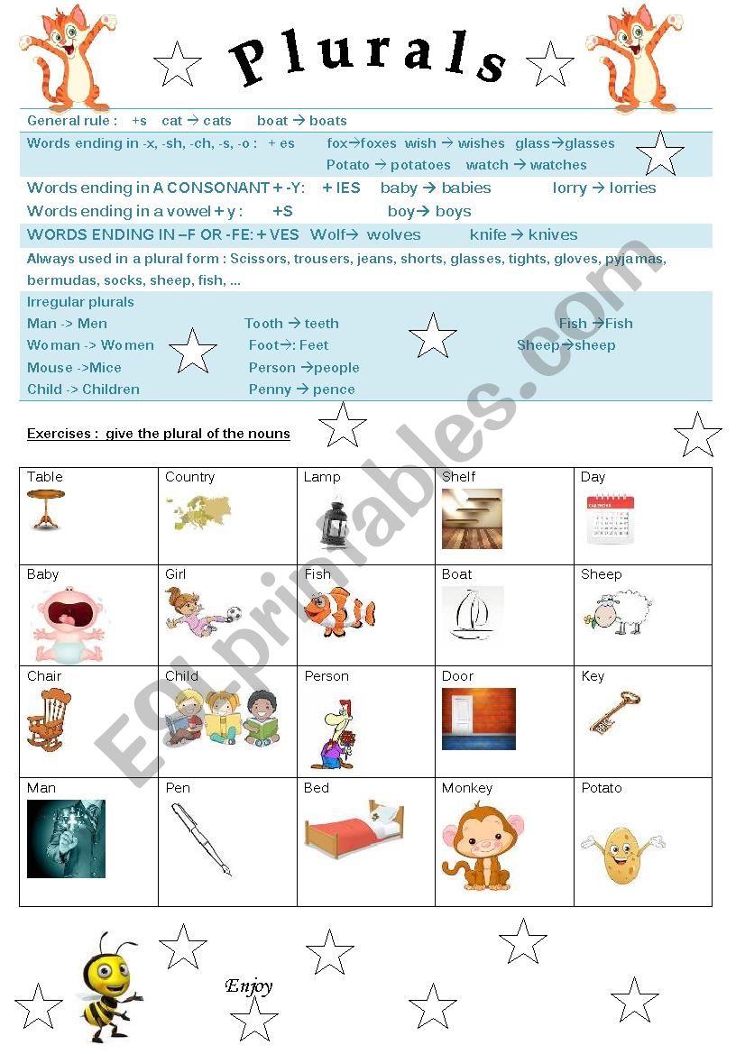 Plural of nouns  worksheet