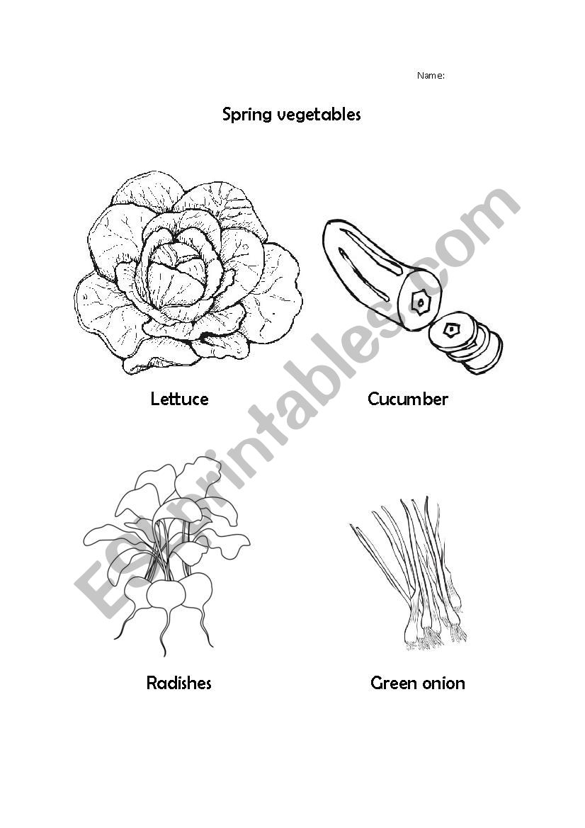 Spring vegetables worksheet