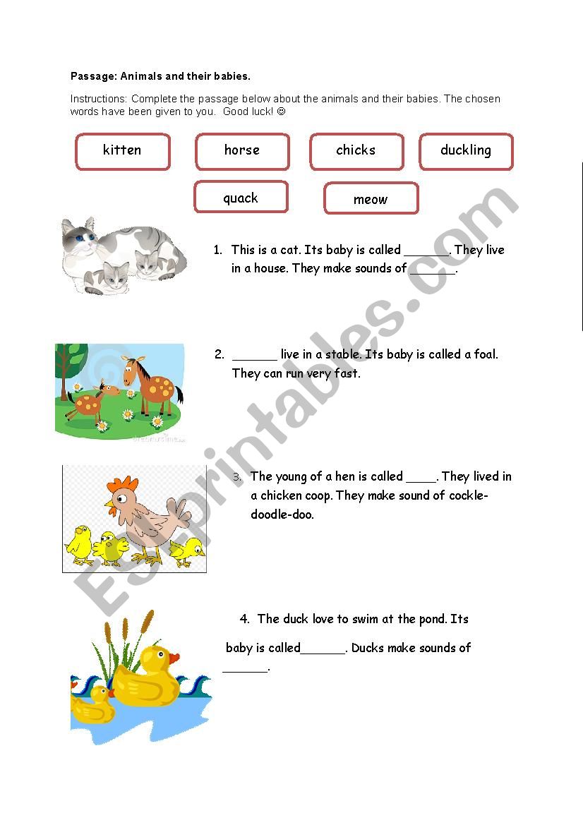 Worksheet on Animals worksheet