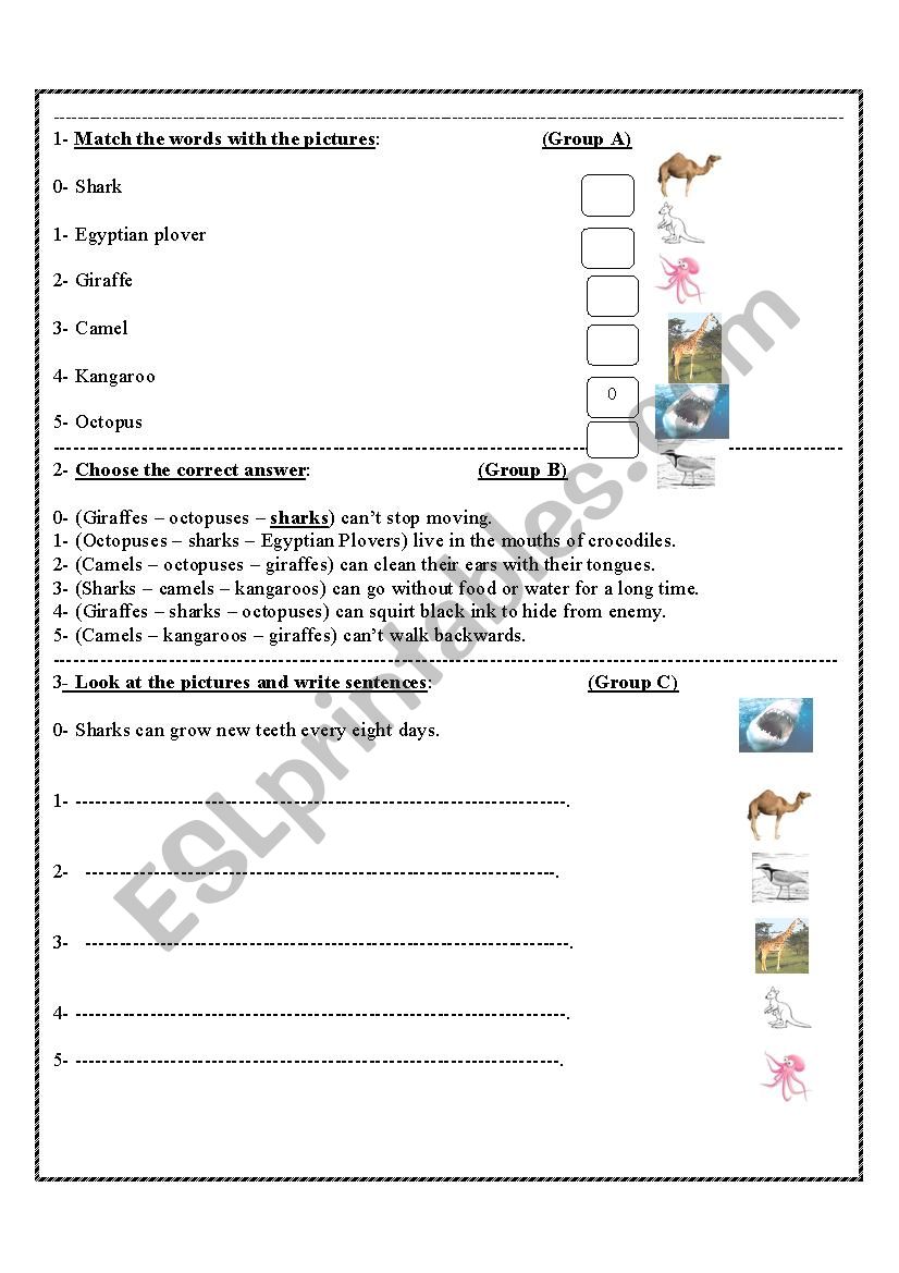 animals worksheet