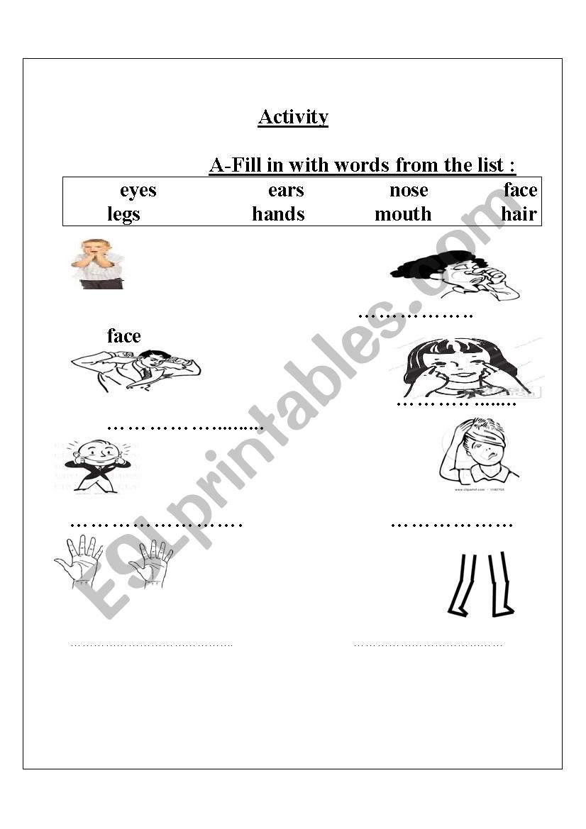 parts of the body worksheet